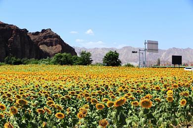 《史莱姆牧场2》推出内容更新 添加游戏内“超市”